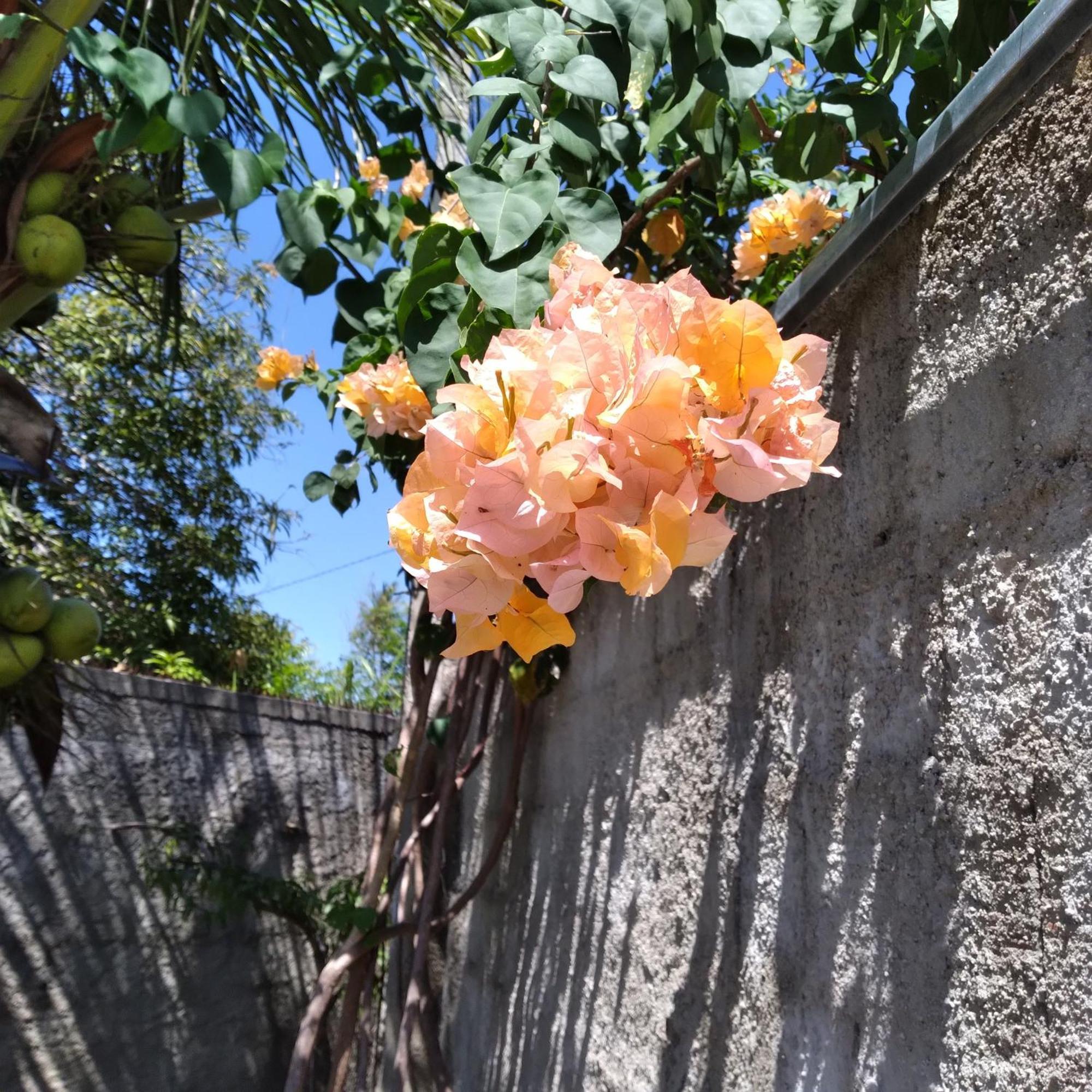 Casa China & Silva, Otima Casa Para Praia Ou Descanso, Proximo As Dunas Da Sabiaguaba E Shoppings Em Eusebio E Fortaleza Ce Ngoại thất bức ảnh